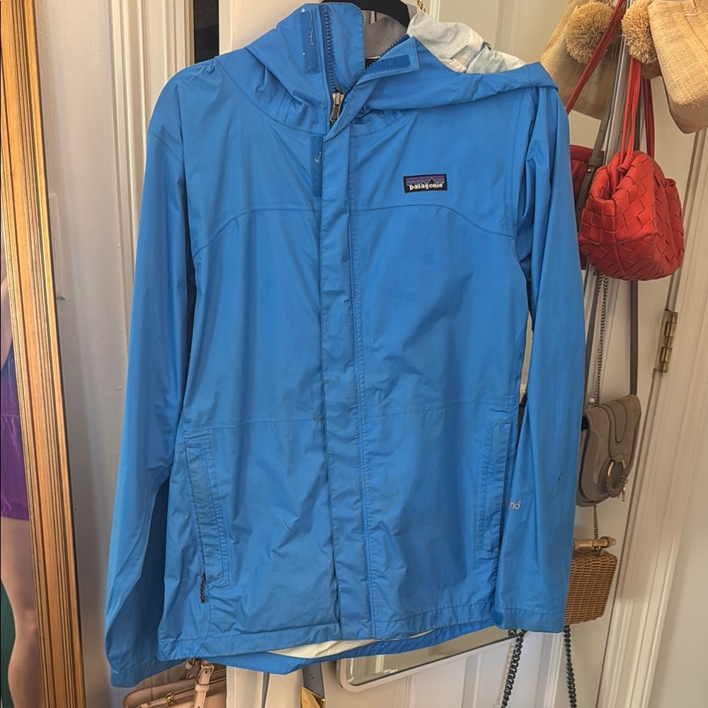 Patagonia Vibrant Blue Windbreaker